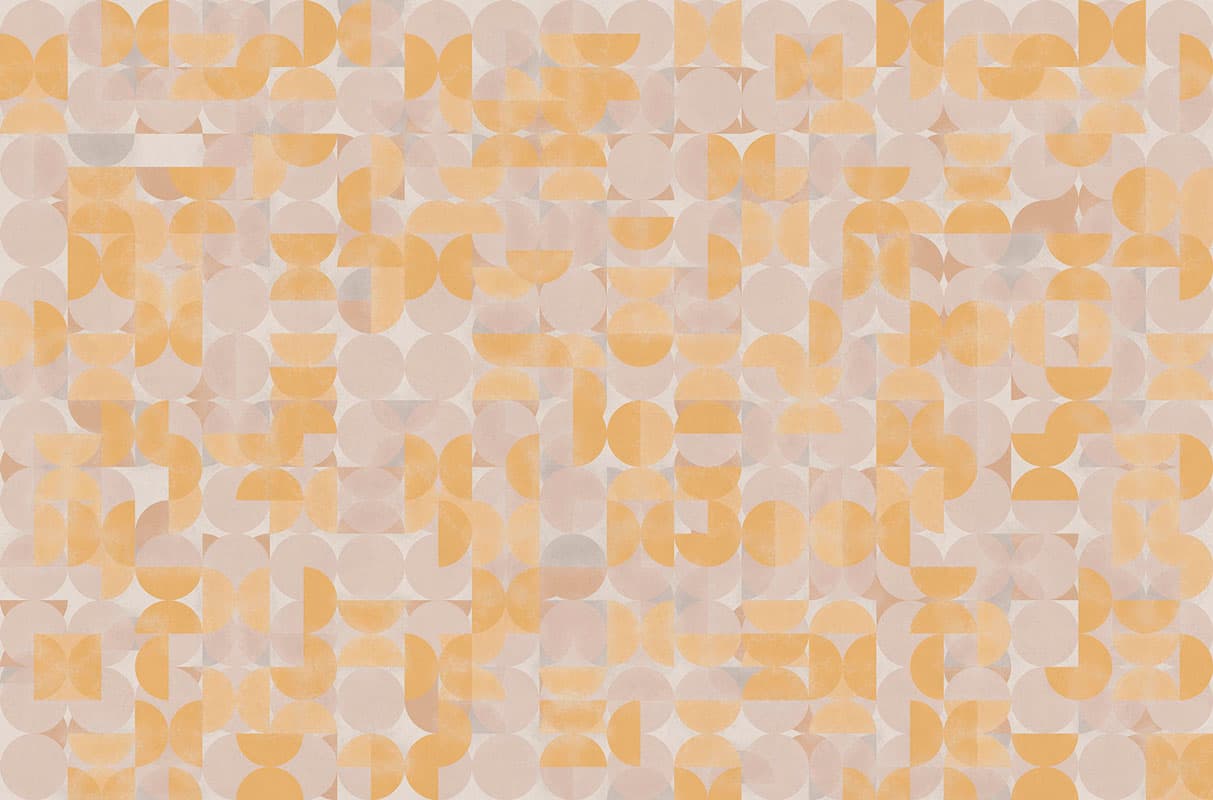 WHO ARE YOU — T03S03-4