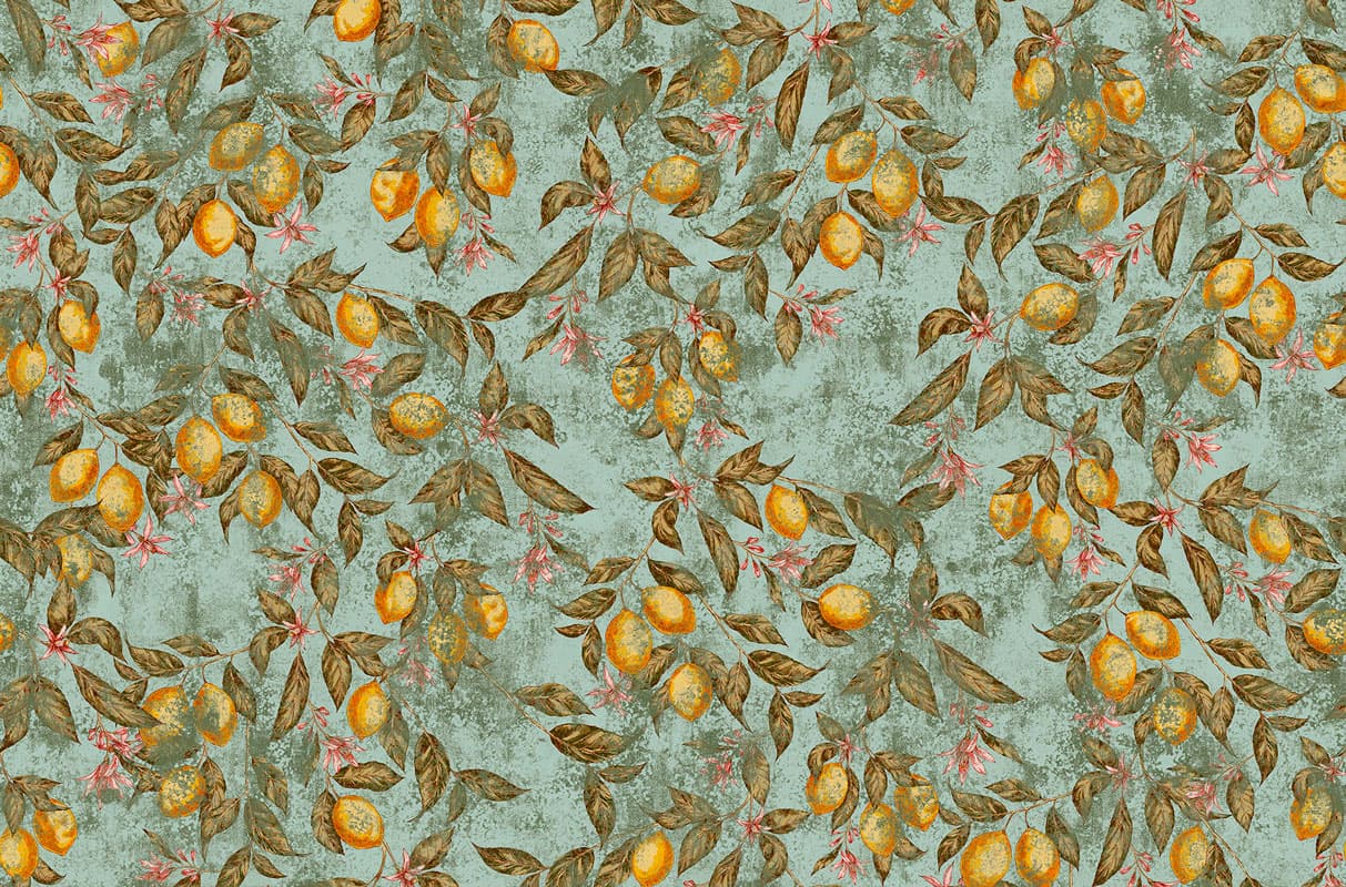 CAN YOU SEE ME — T07S05-2