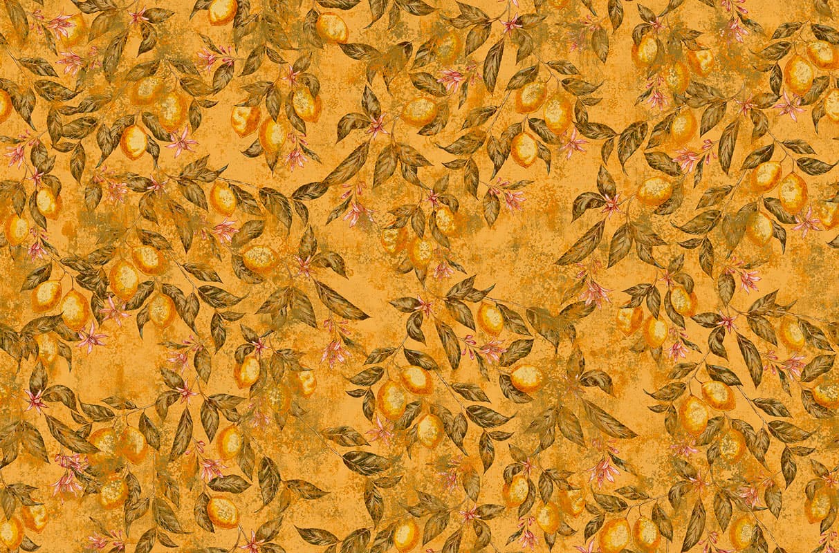 CAN YOU SEE ME — T07S05-3