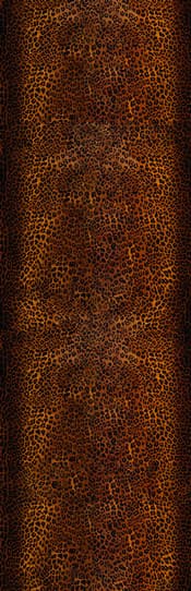 ANIMALIER — DSQ2W05-2