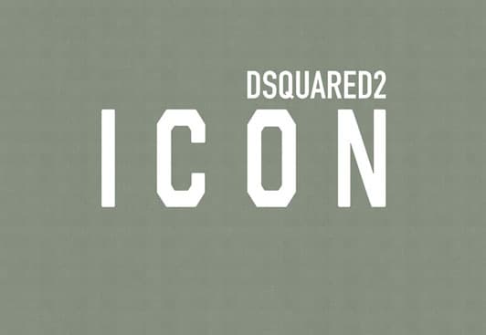 ICON — DSQ2W10-02