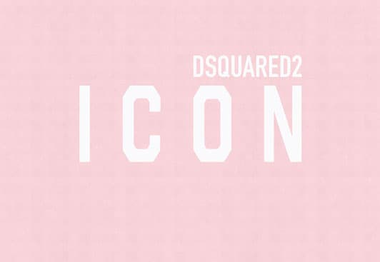 ICON — DSQ2W10-04