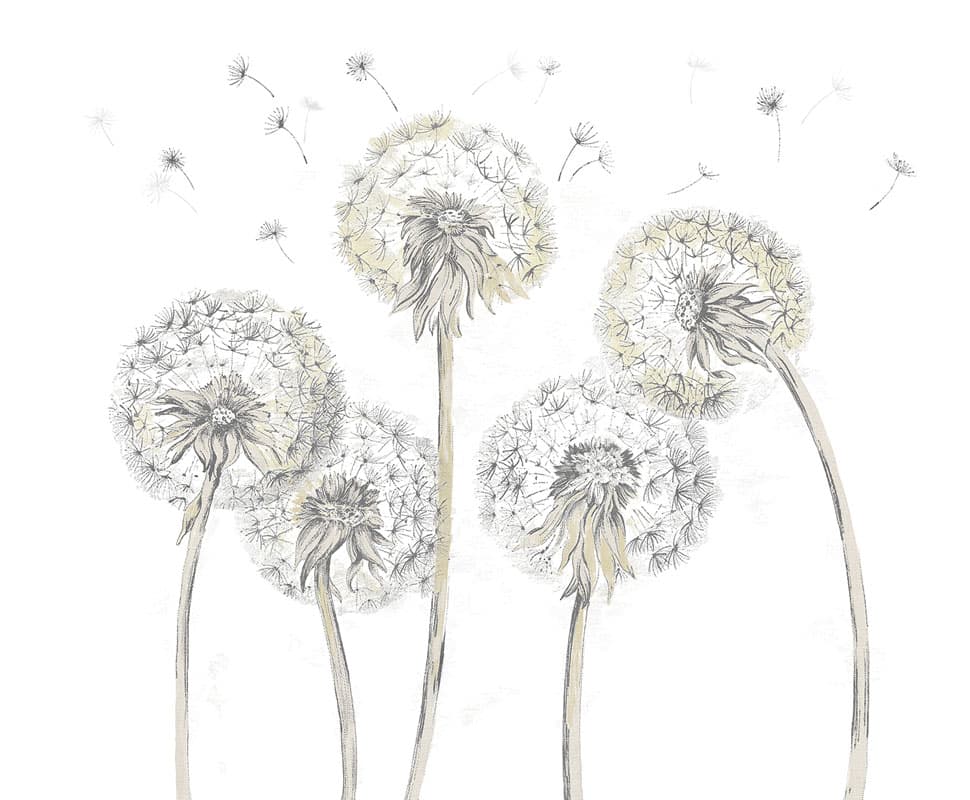 Snapdragons — 12SD-03