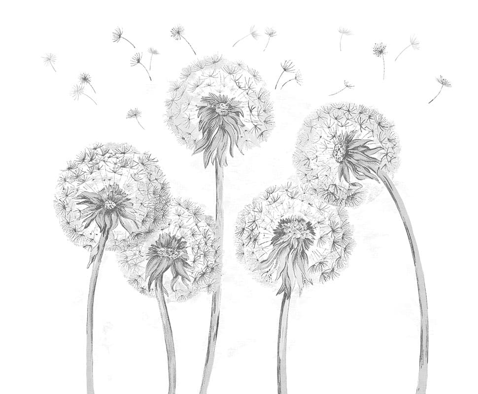 Snapdragons — 12SD-04