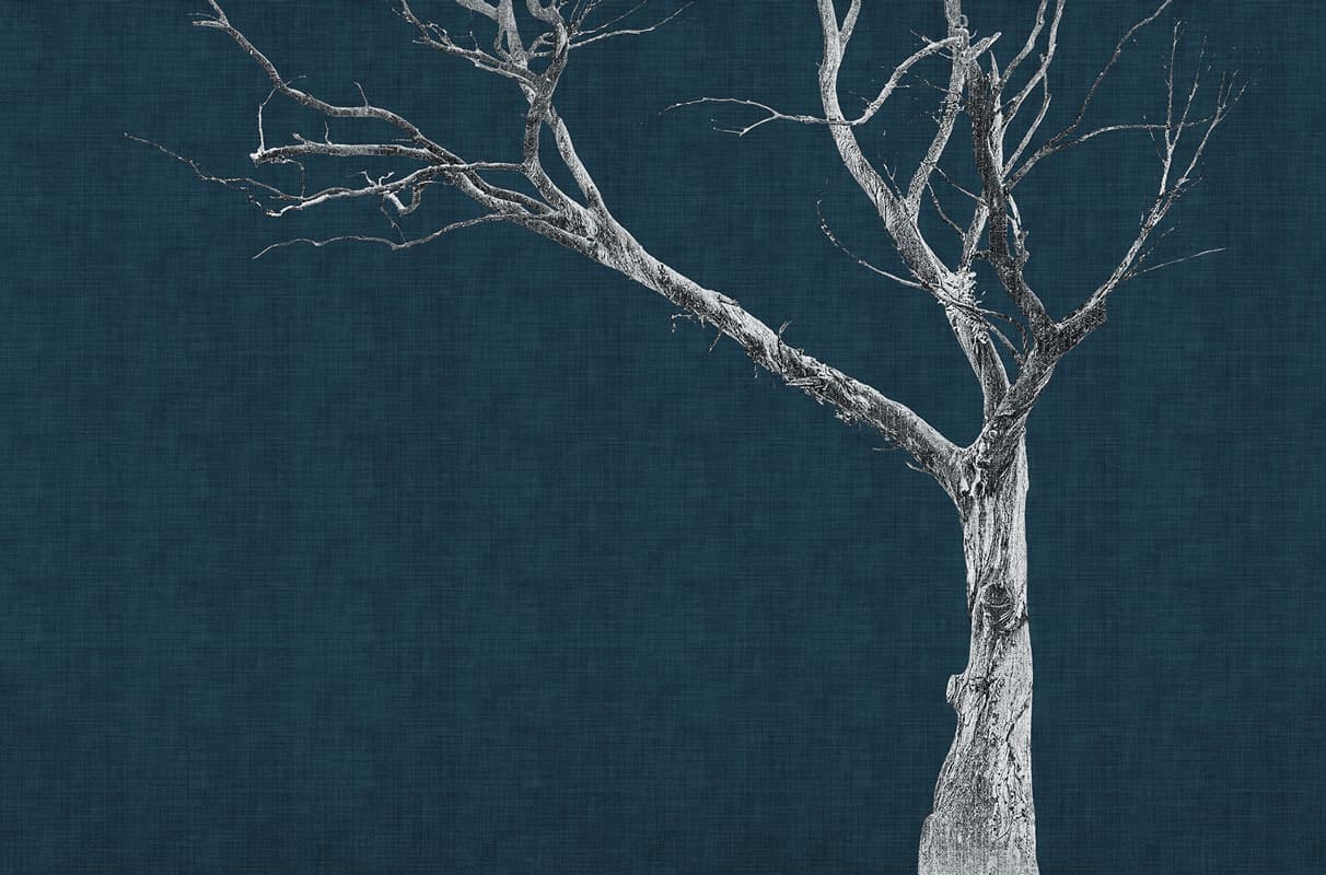 Brambles — 13BR-04