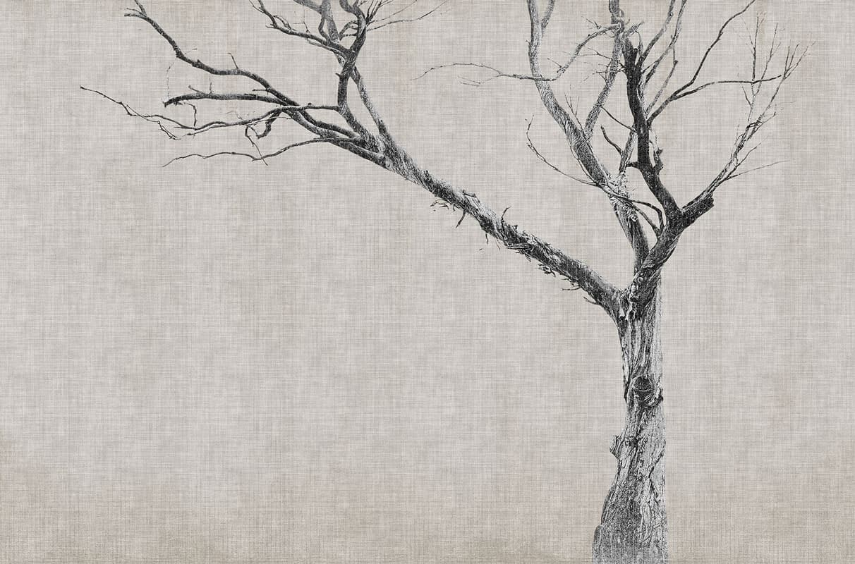 Brambles — 13BR-05