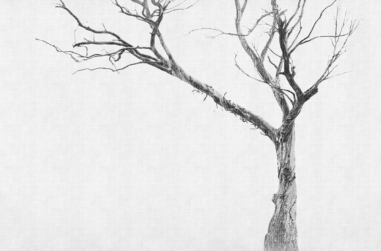 Brambles — 13BR-06