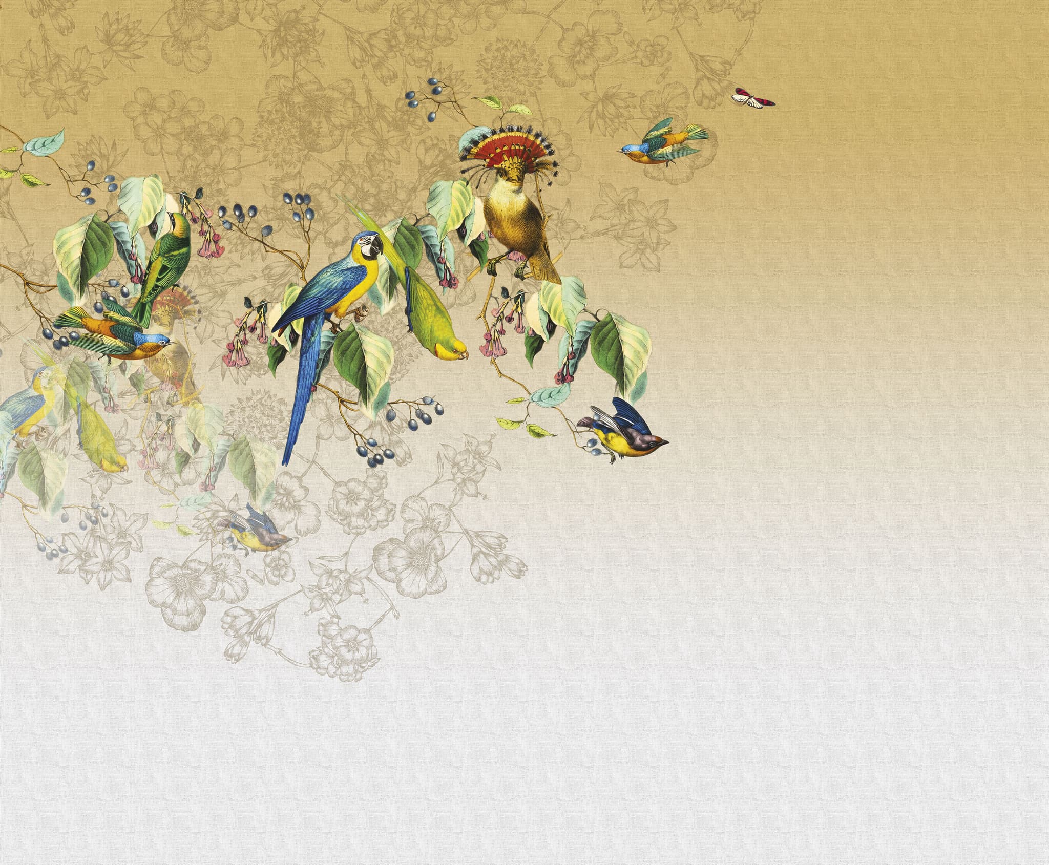 Valery's Parrot by Unknown