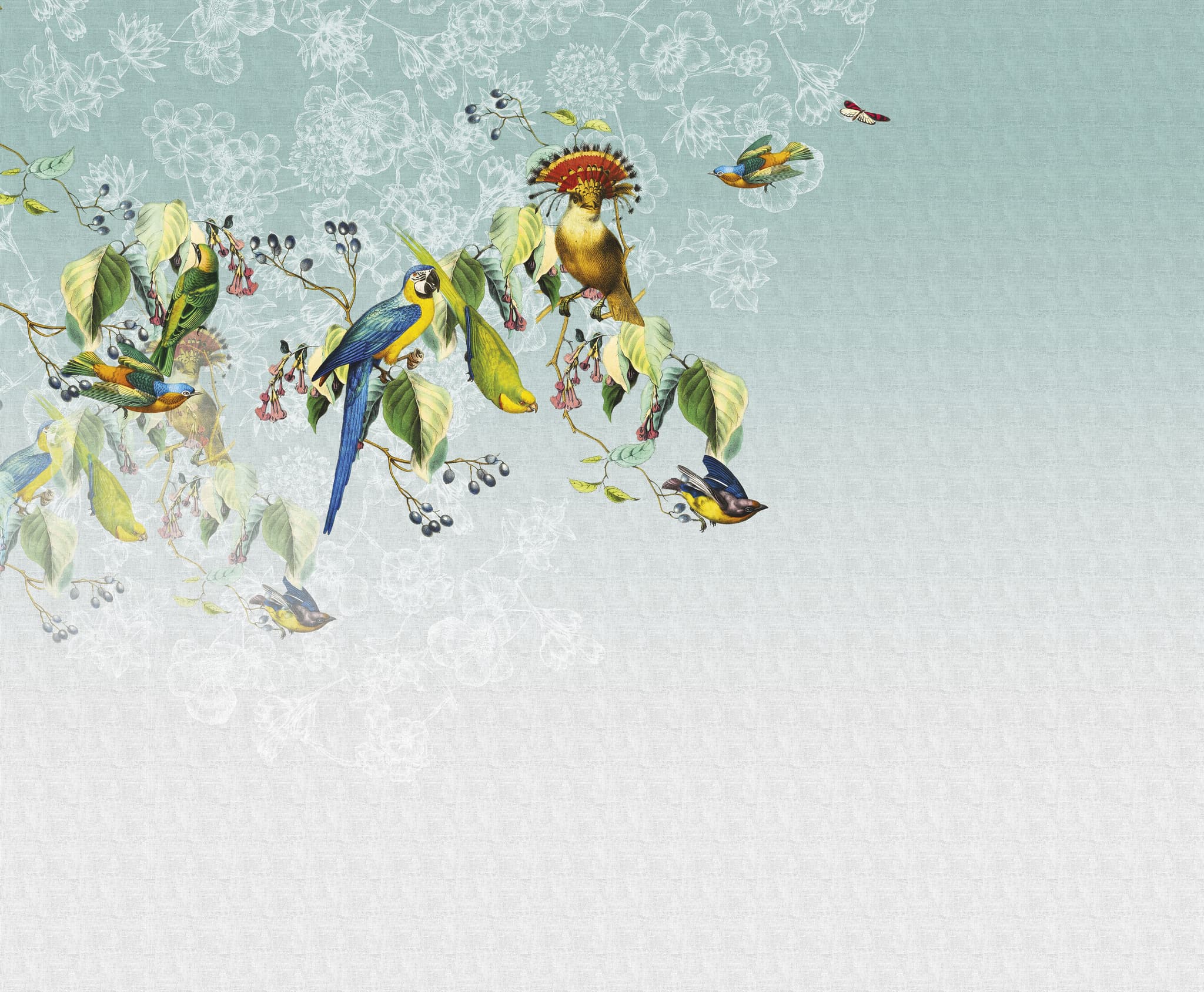 Valery's Parrot — 13VP-03