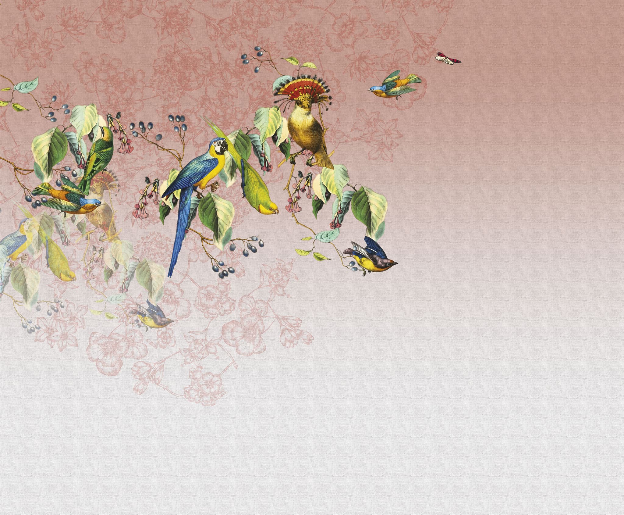 Valery's Parrot — 13VP-04