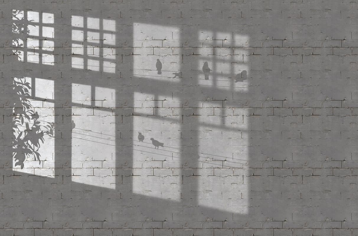 Enemy Of The Sun by Unknown