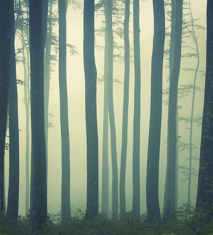 In The Absense Of Truth by Unknown