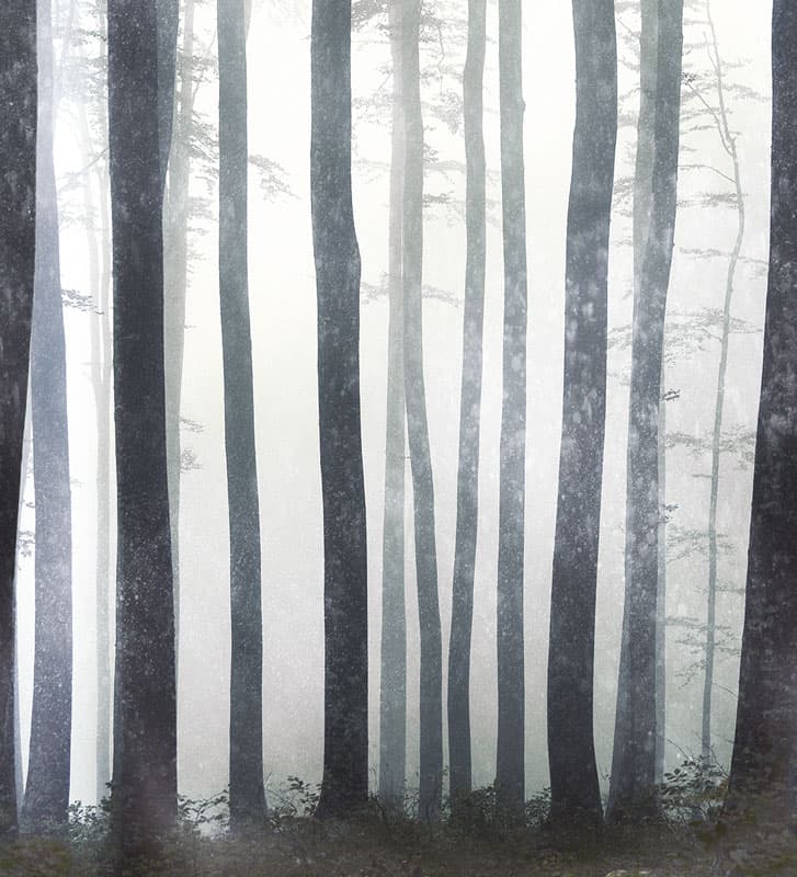 In The Absense Of Truth — 14083-02