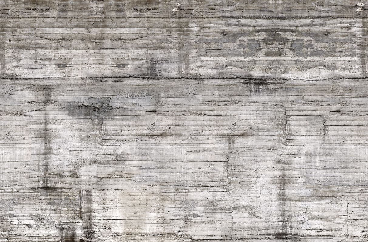 Electric Zoo by Unknown