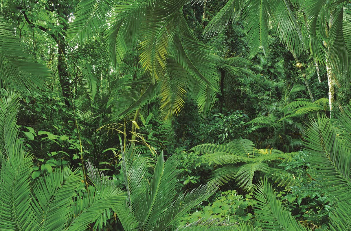 Gravitoni by Unknown