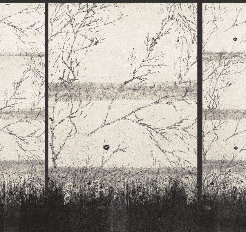 Japanese — 16007-01B