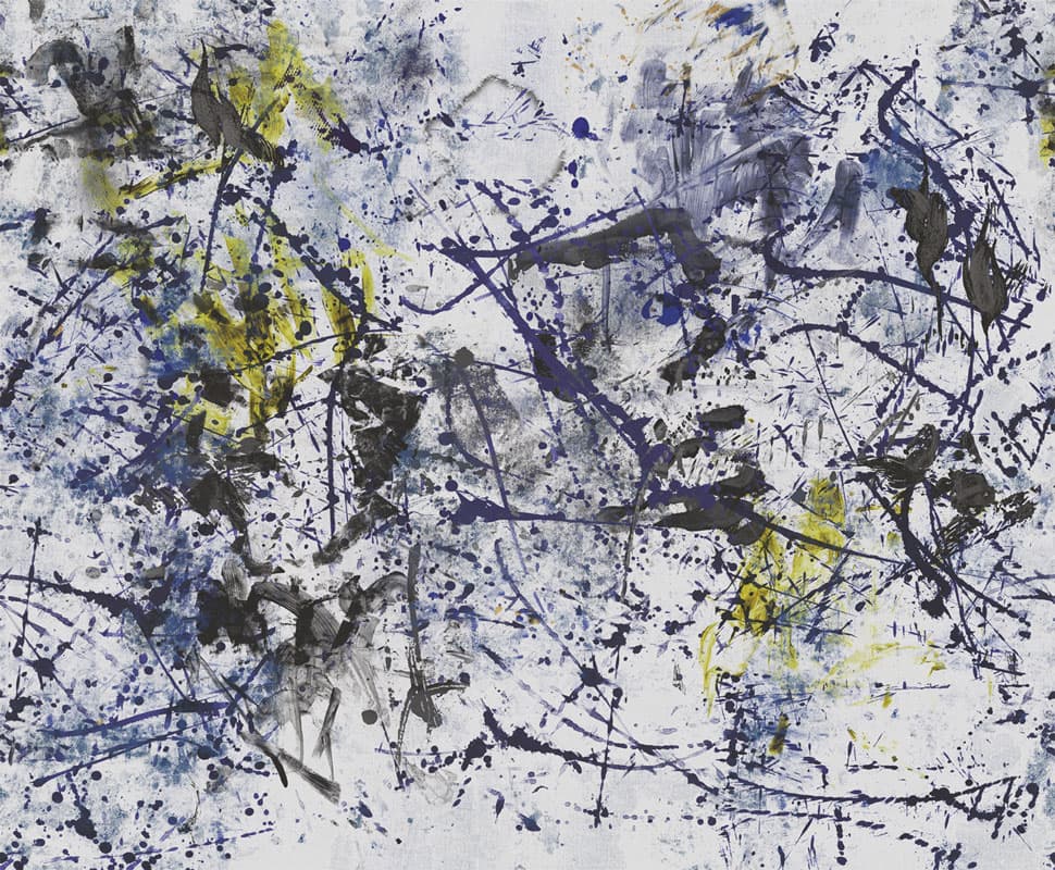 Jackson — 17005-02