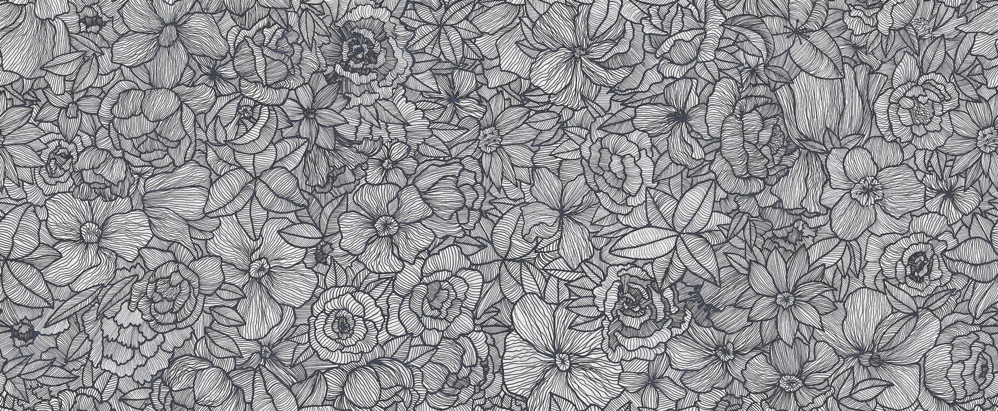 Impetro Lost by Unknown