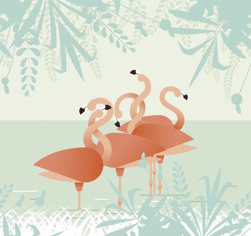 Flamingos — 17101-2