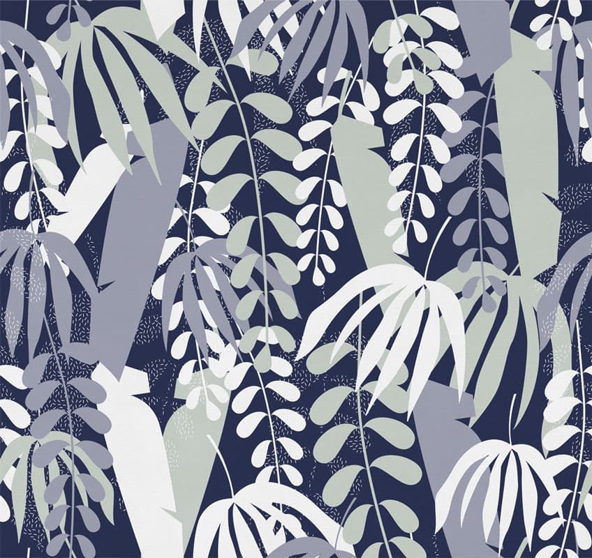 Tropical Shape by Unknown