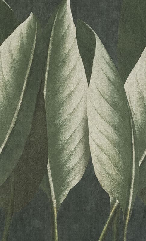 The Queen by Unknown