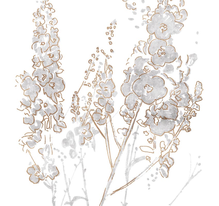 In Flower by Unknown