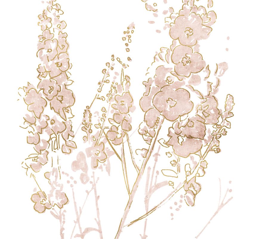 In Flower — 17504-2