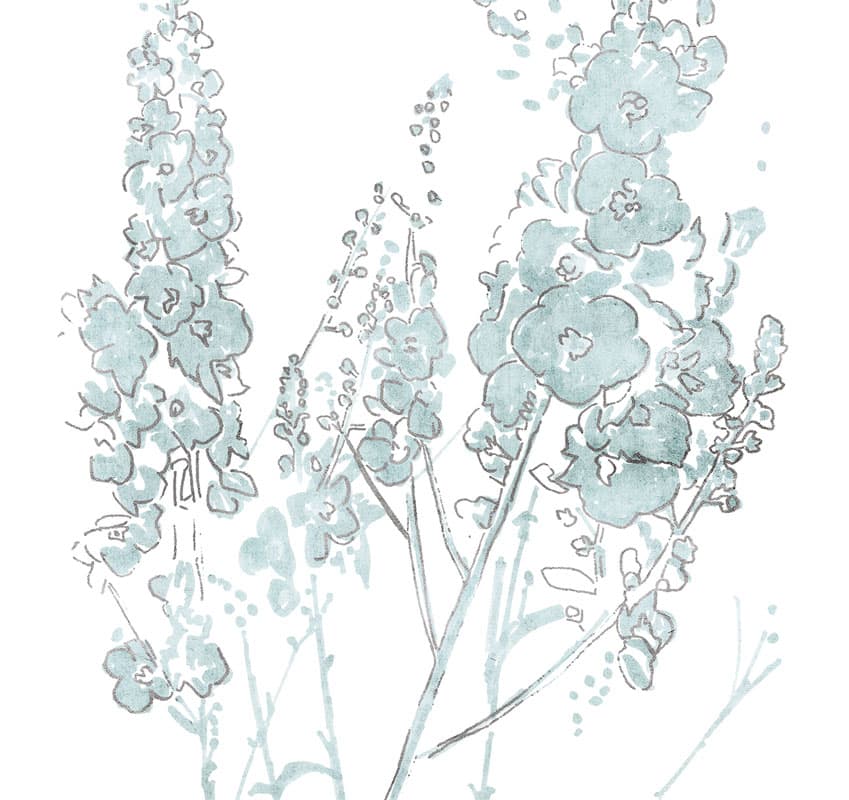 In Flower — 17504-3