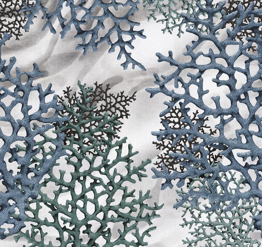 Coralina — 17514-2