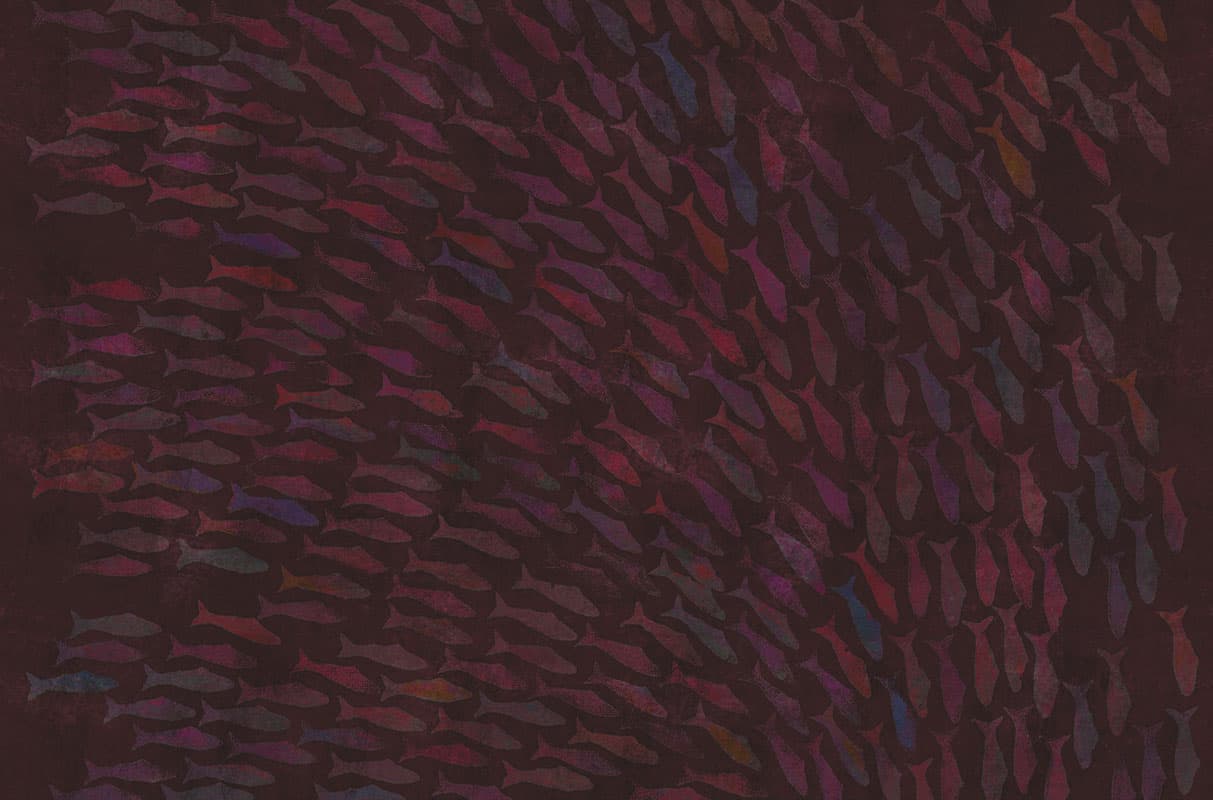 Rainbow Fish by Unknown