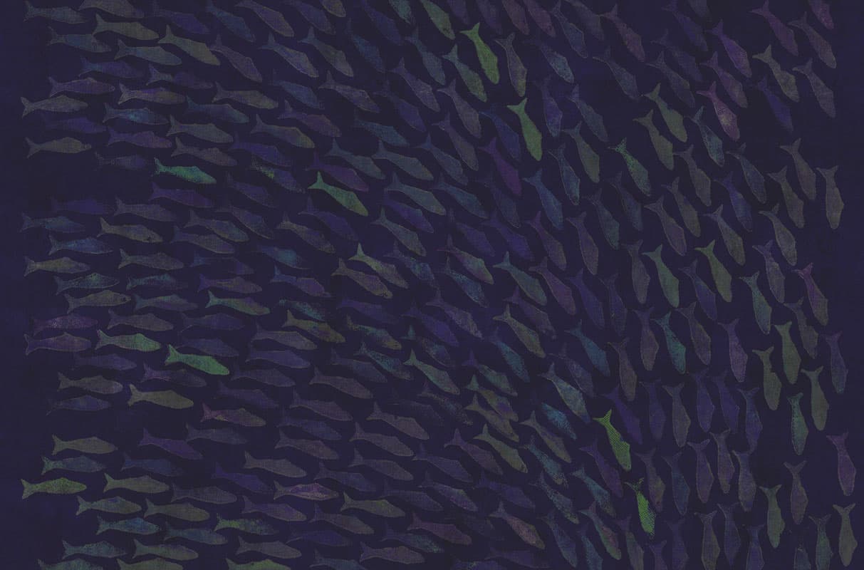 Rainbow Fish — 18023-2