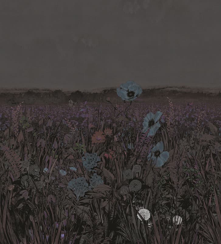 King Poppy by Unknown