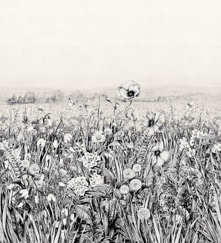 King Poppy — 18057-03