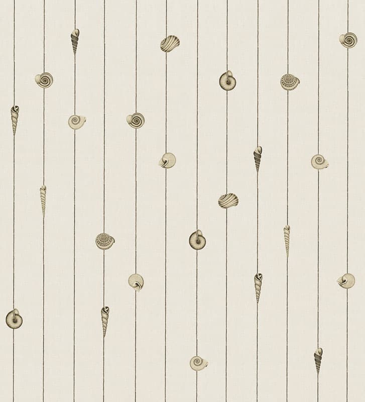 Conchiglie by Pietro Russo