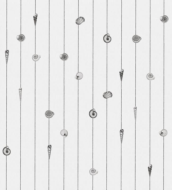 Conchiglie — 18507-02