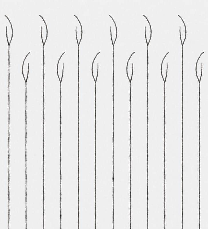 Coralli — 18508-02