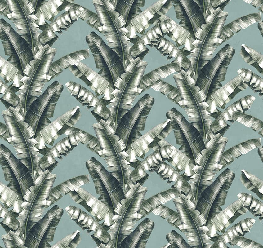 Venerate — 18540-02