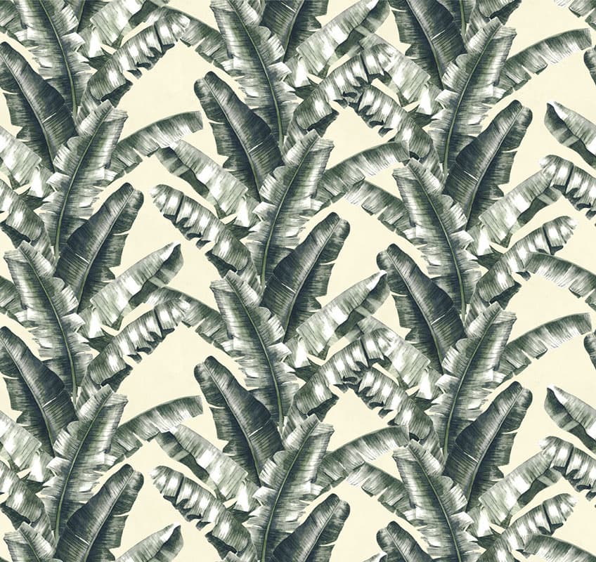 Venerate — 18540-03