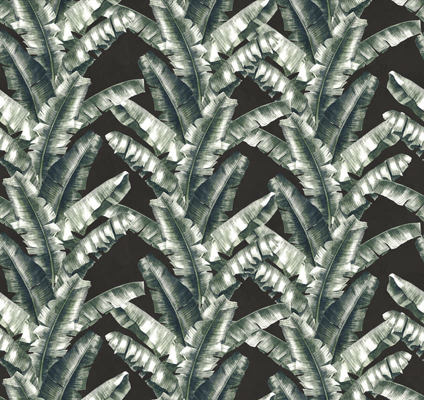 Venerate — 18540-04