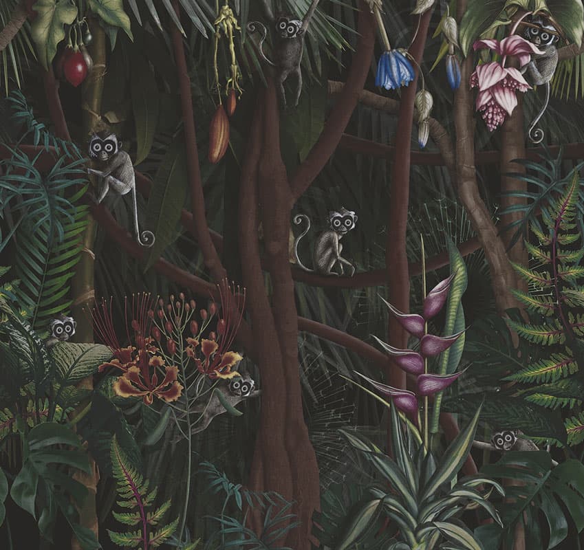 Looks In the Forest by Unknown