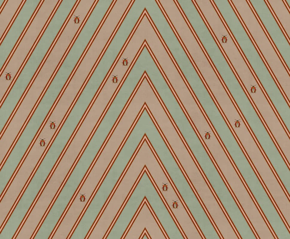 Coleotteri — 19002-2