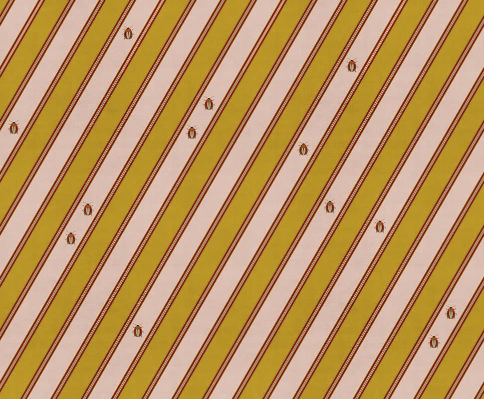 Coleotteri — 19002-3