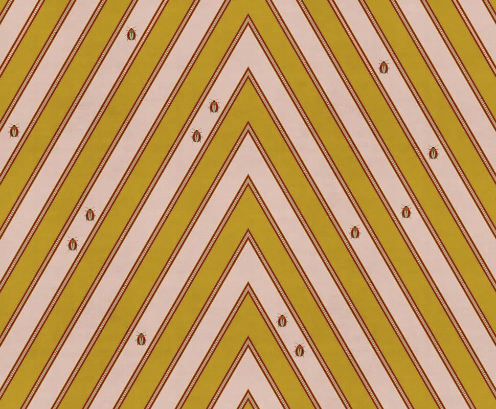 Coleotteri — 19002-4