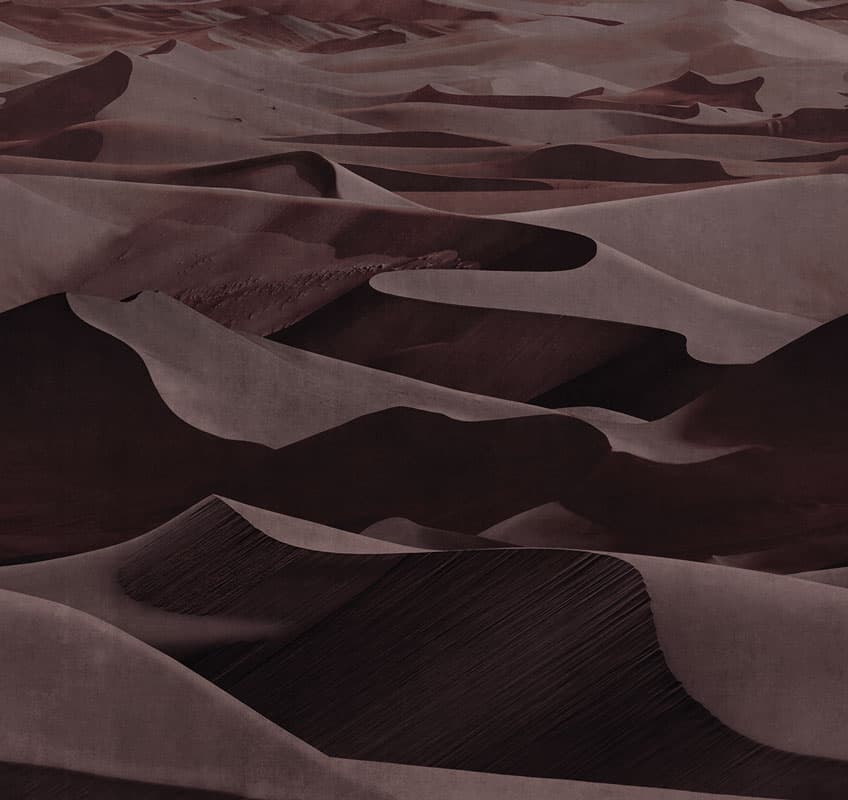 Dune by Francesca Besso