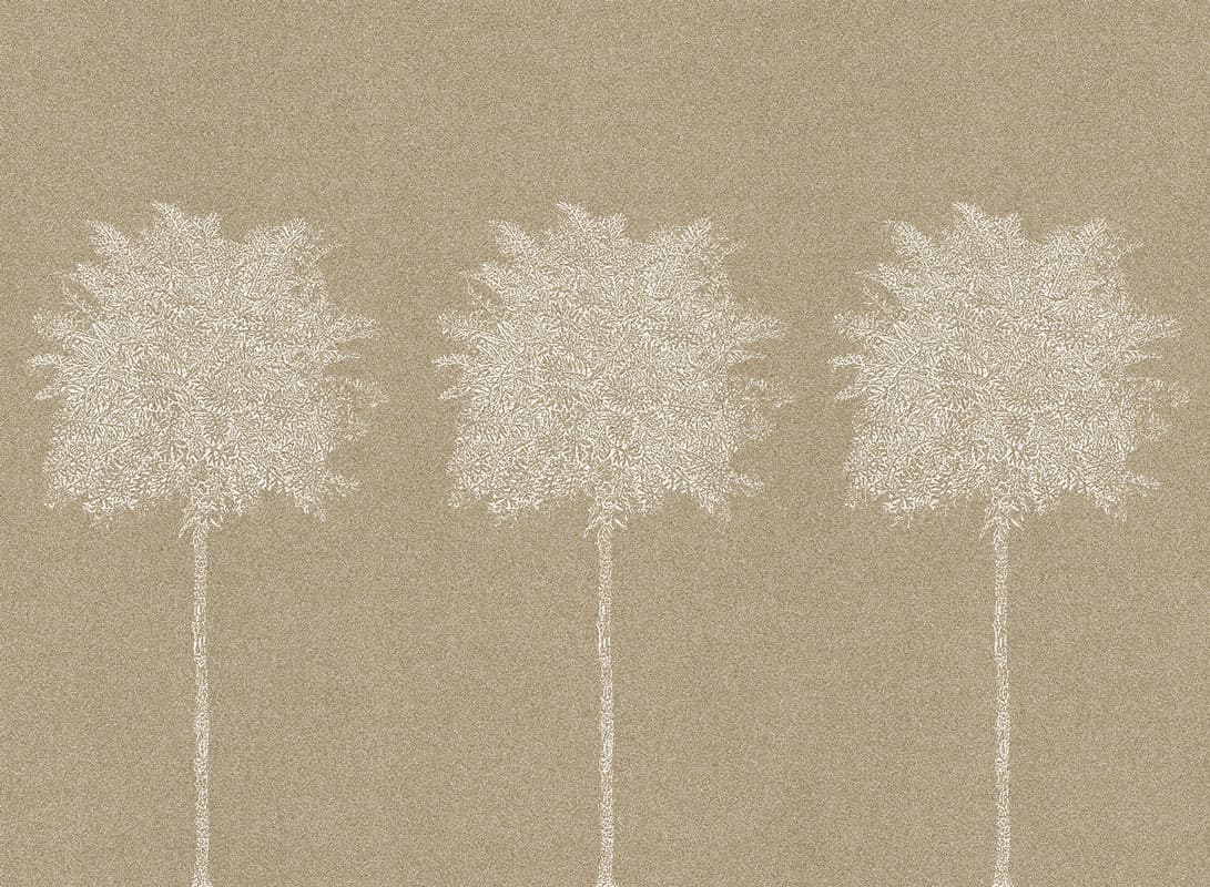 trees by BellavistaPiccini