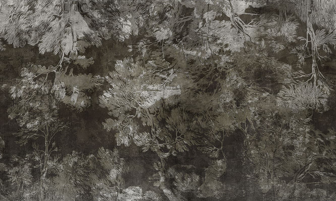 Reflections by Jon Iubler