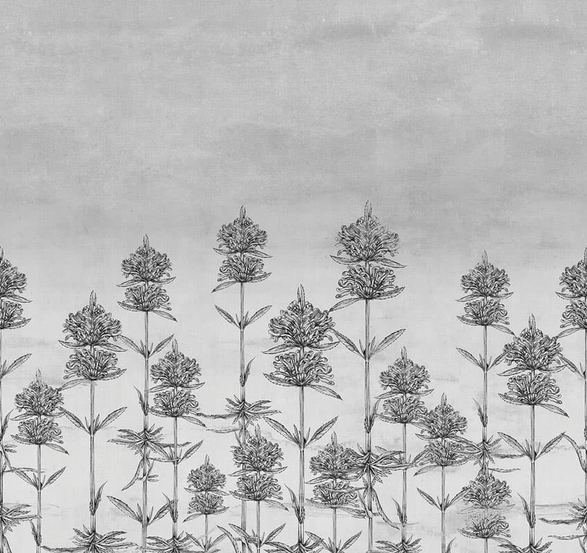 Natural Euphoria — 20021-02