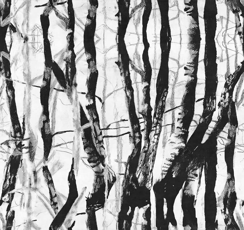 Morning Dew by Unknown