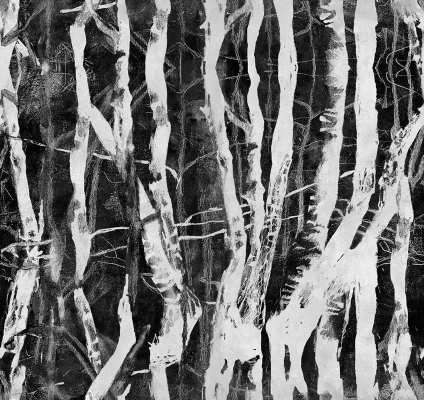 Morning Dew — 20037-02