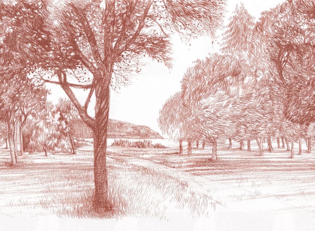 Sanguigna by Unknown